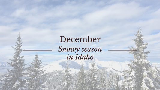 Embrace December in Idaho: Your Snowy Season Getaway ❄️